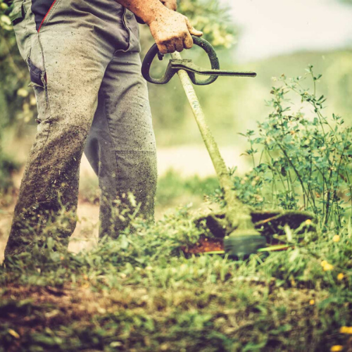 Gardener worker 