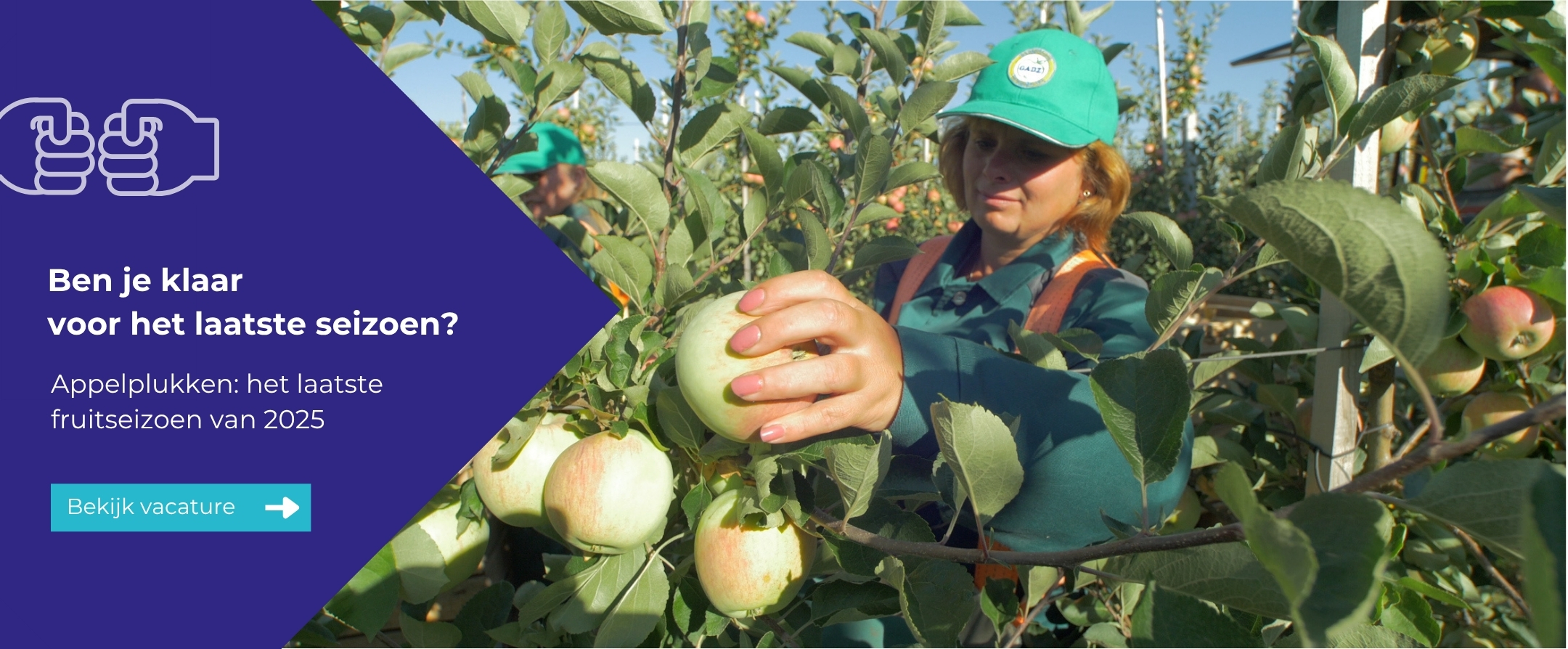 Apple picking season 2023