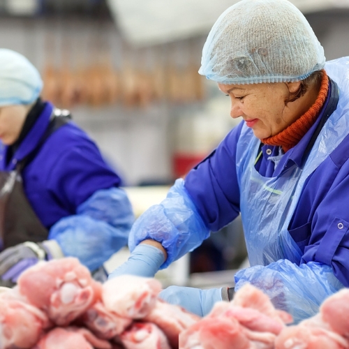 Pracownik produkcji - obróbka mięsa drobiowego