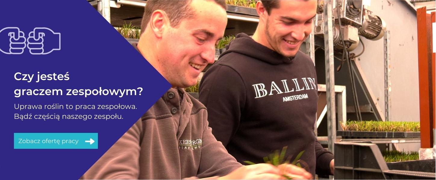 Work with small plants