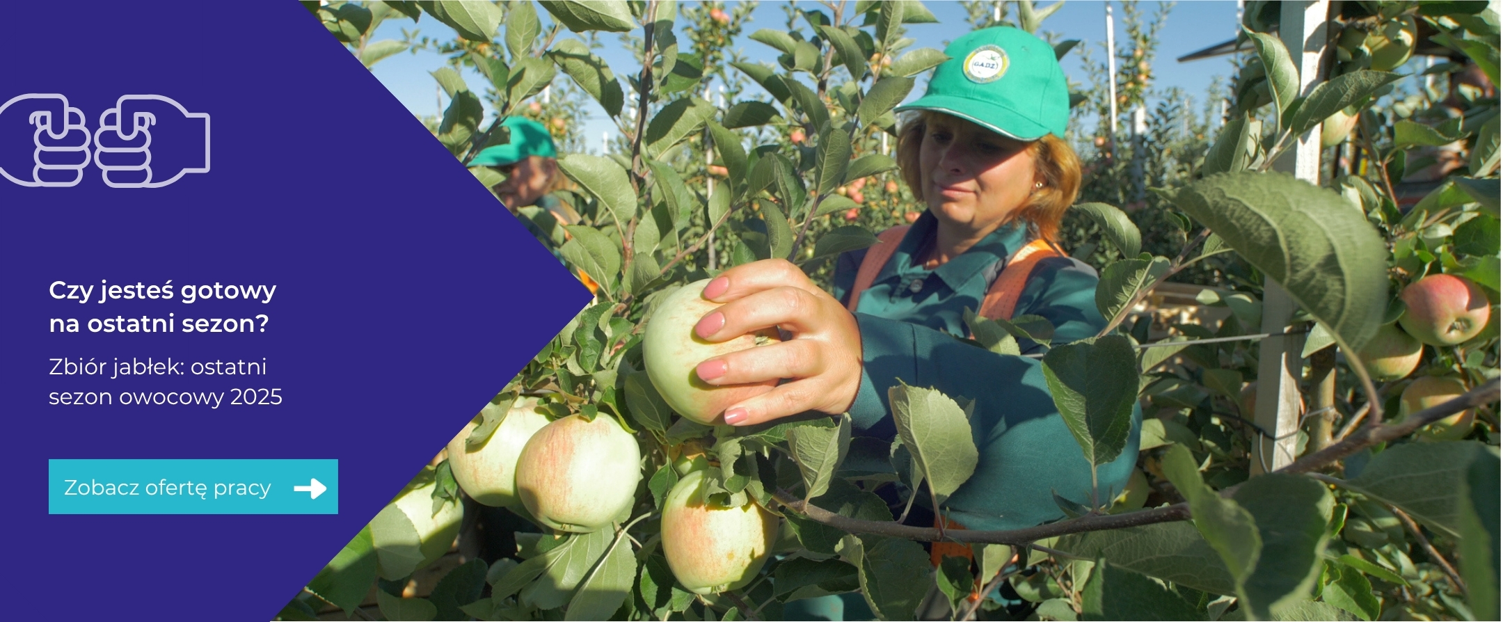 Apple picking season 2023