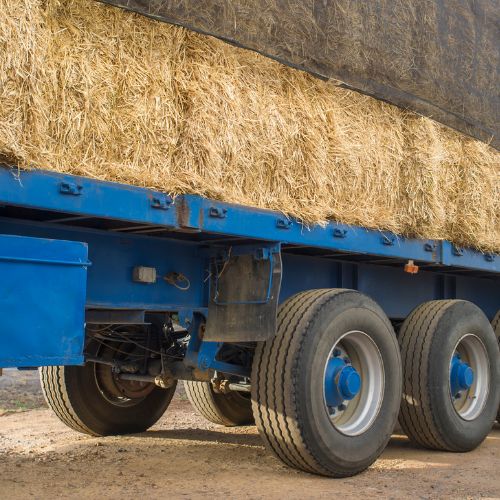 Общ работник