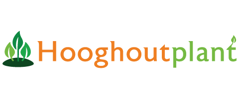 Hooghoutplant