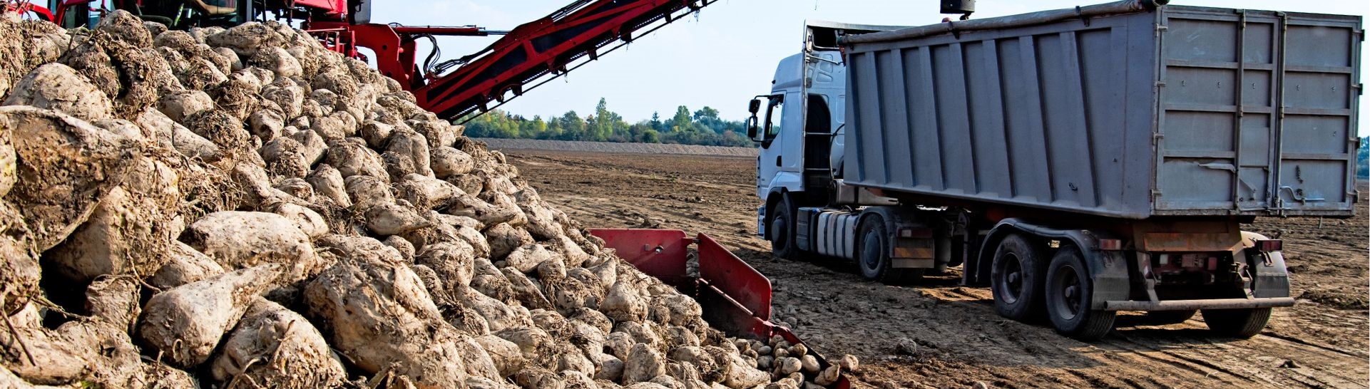 Șofer C + E - Remorcă cu podea mobilă cu manuare