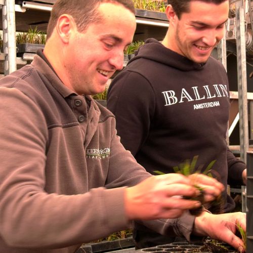 Працівник по вирощуванню плюща