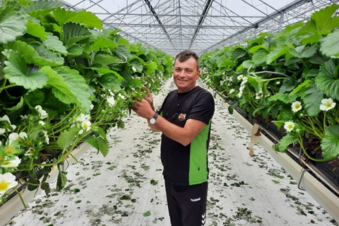 Іонеску Петрісор