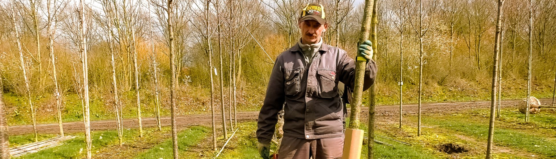 Tree nursery with all kind of trees/plants 