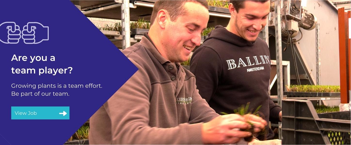 Work with small plants