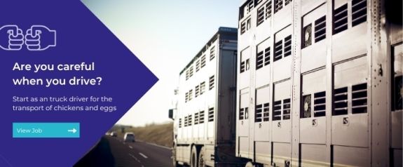 Chicken and Egg transport