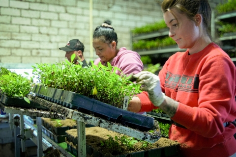 How does the new law protect the position of migrant workers?